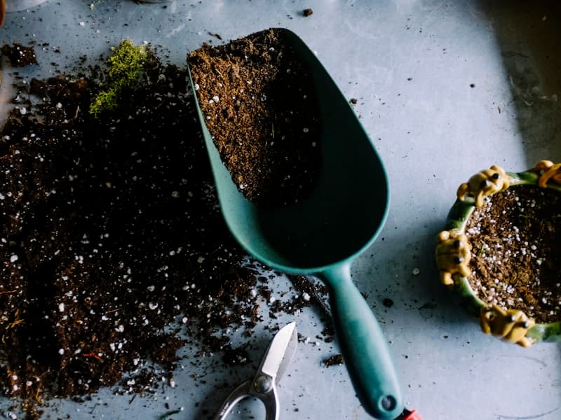 Turf and Paver Exchange